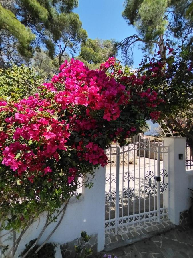 Rigos House At Askeli Beach, Poros Island Poros Town Extérieur photo